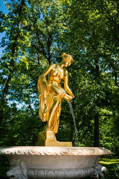 Sankt Petersburg Russland Mai 2018 Goldener Statuenbrunnen Peterhofpark Schloss Peterhof — Stockfoto