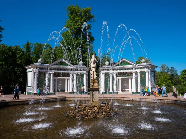 Сайнт Петербург Circa May 2018 Фонтан Парке Петергоф Известный Петродворец — стоковое фото