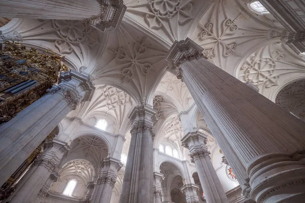 Granada Španělsko Cca Červen 2018 Vnitřní Pohled Uvnitř Katedrály Granada — Stock fotografie