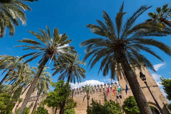 基督教国王宫殿要塞 科尔多瓦 安达卢西亚 西班牙 — 图库照片