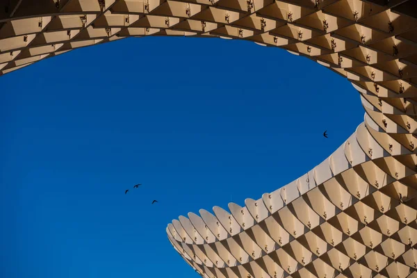 Seville Spagna Circa Giugno 2018 Metropol Ombrellone Contro Cielo Blu — Foto Stock