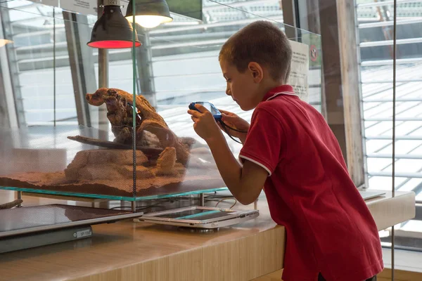 Trento Italië Juli 2015 Kid Neemt Een Foto Muse Een — Stockfoto