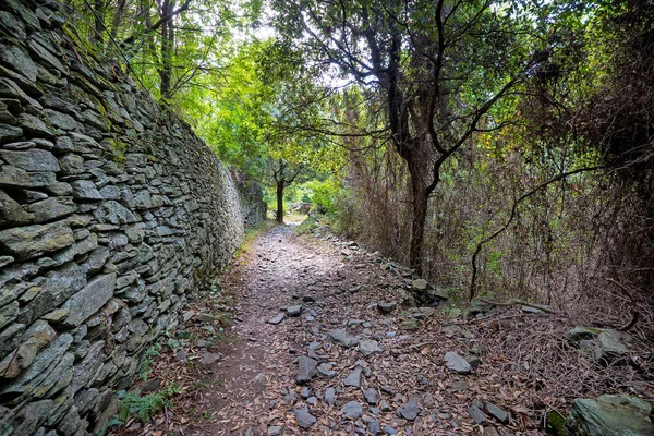 Caminho Floresta Que Chega Praia Nonza Córsega França — Fotografia de Stock