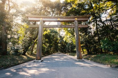 Torii Meiji jingu tapınak önünde. Shibuya Tokyo, Japonya