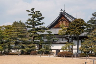 Nijo Kalesi bahçesi. Kyoto, Japonya.