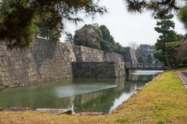 Nijo Kalesi bahçesi. Kyoto, Japonya.