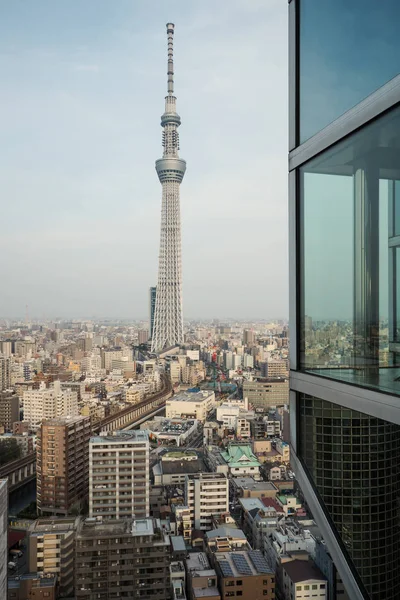 Tokyo Japan März 2017 Tokyo Skyline Von Der Asahi Gebäudebeobachtung — Stockfoto
