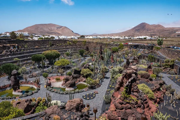 Guatiza Köyündeki Tropik Kaktüs Bahçesi Lanzarote Kanarya Adaları Spanya — Stok fotoğraf