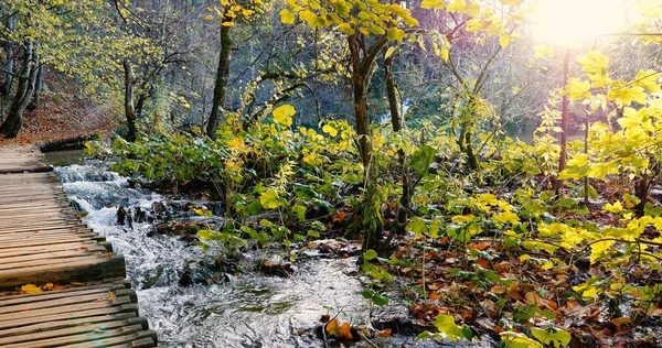 普利特维切湖国家公园内天然耀斑的木制小径 克罗地亚 — 图库照片