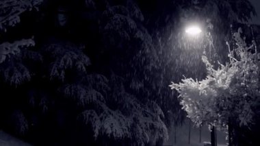 Gece sokakları, fener ışıkları ve parka düşen karlar.