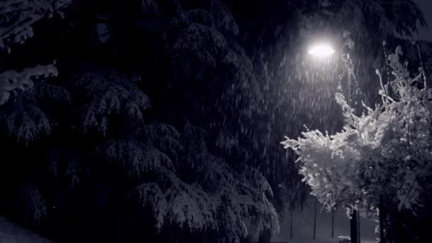 Calle Noche Luz Linterna Nieve Que Cae Parque — Vídeos de Stock