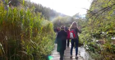 Ahşap yolu içinde Plitvice Gölleri Milli Parkı. Hırvatistan. Europe.