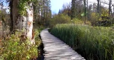 Ahşap yolu içinde Plitvice Gölleri Milli Parkı. Hırvatistan. Europe.