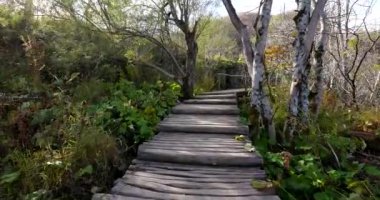Ahşap yolu içinde Plitvice Gölleri Milli Parkı. Hırvatistan. Europe.