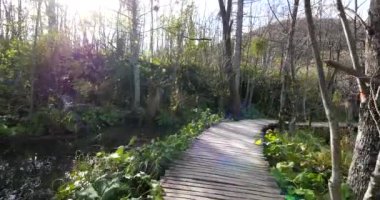 Ahşap yolu içinde Plitvice Gölleri Milli Parkı. Hırvatistan. Europe.