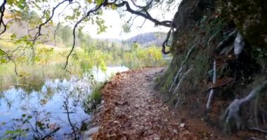 Ahşap yolu içinde Plitvice Gölleri Milli Parkı. Hırvatistan. Europe.