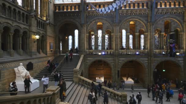 英国伦敦 2018年1月 自然历史博物馆内部景观 收藏7000万件标本 — 图库视频影像