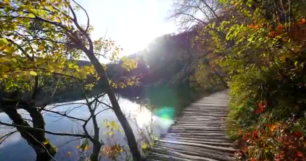 Parque Nacional Los Lagos Plitvice Croacia — Vídeos de Stock