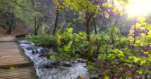 Plitvicesjöar Nationalpark Kroatia — Stockvideo