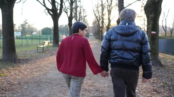 Romantikus Idős Pár Játszik Szabadban Parkban Téli Időszámítás — Stock videók