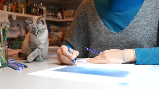 Artysta Pracuje Przy Stole Kociak Bawi Się Ołówkami Pobliżu — Wideo stockowe