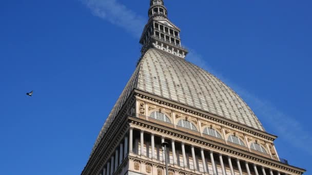 Mullvaden Antonelliana Turin Italien Det Stor Landmärke Byggnad Staden Namngiven — Stockvideo