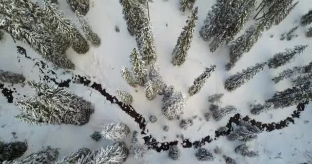 Sneeuw Luchtfoto Berglandschap Met Bevroren Rivier Bomen — Stockvideo