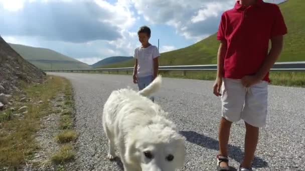 Images Petits Garçons Marchant Avec Chien Sur Route Rurale — Video