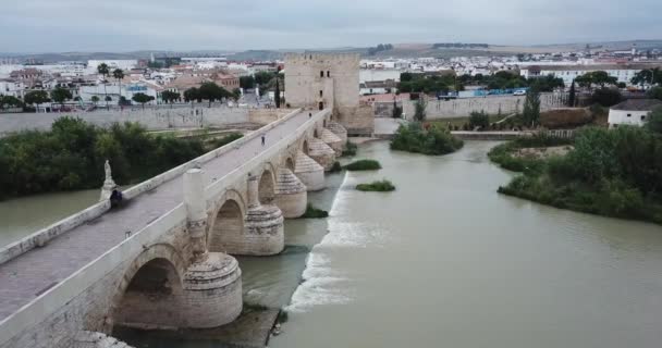 Panoramiczny Widok Stare Miasto Kordobie Andaluzja Hiszpania — Wideo stockowe