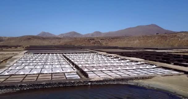 Aerial Vista Cinematográfica Las Salinas Janubio Principal Producción Sal Isla — Vídeos de Stock