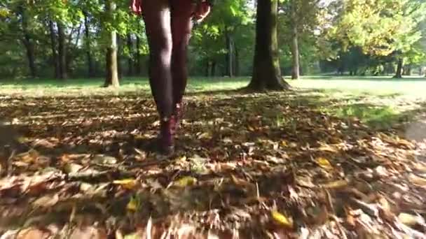 Frau Geht Einem Herbstmorgen Einem Park Spazieren — Stockvideo