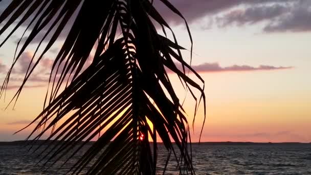 Вражаючий Панорамний Захід Сонця Пляж Варадеро Кубі — стокове відео