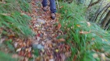 Bir sonbahar sabahı parkta yürüyen bir adam..