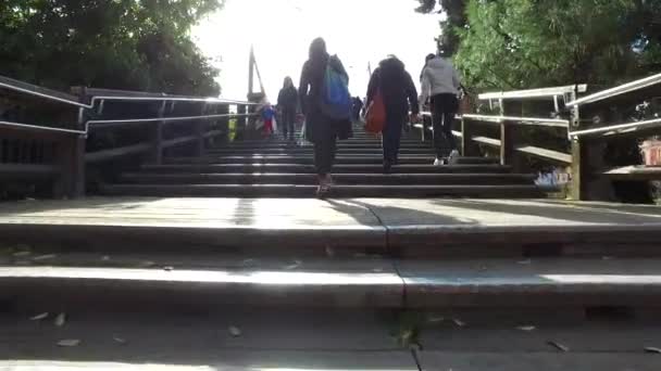 Βενετια Ιταλια Circa Νοεμβριοσ 2016 Pov Περπατώντας Στη Γέφυρα Accademia — Αρχείο Βίντεο