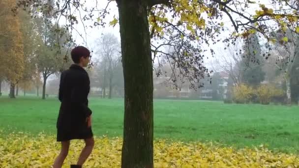 Belo Retrato Jovem Ruiva Parque Durante Uma Manhã Outono — Vídeo de Stock