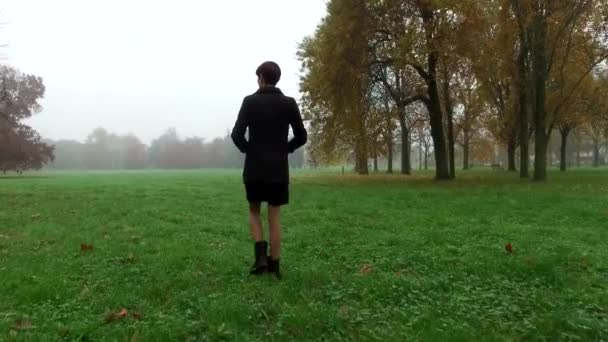 Hermoso Retrato Una Joven Pelirroja Parque Durante Una Mañana Otoño — Vídeos de Stock