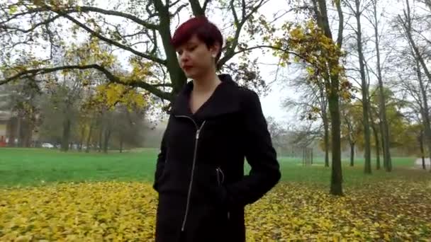 秋の朝の公園で若い赤毛の女性の美しい肖像画 — ストック動画