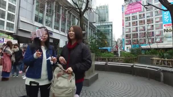 Tokyo Japan Circa March 2017 Pov View Hachiko Dog Statue — Stock video