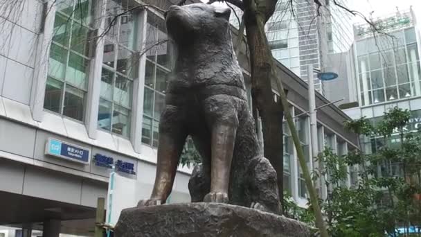 Tokyo Japan Circa Maart 2017 Hachiko Hond Standbeeld Hachiko Bedacht — Stockvideo