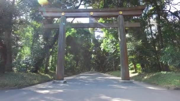 Punto Vista Caminando Bajo Torii Iat Entrada Del Santuario Meiji — Vídeo de stock