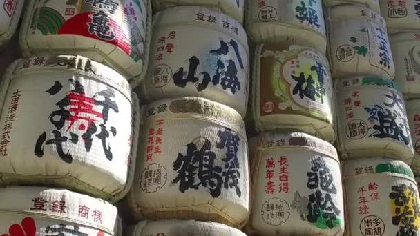 2017 요요기 공원에서 메이지 음료는 쌀에서 있으며 유사한 — 비디오