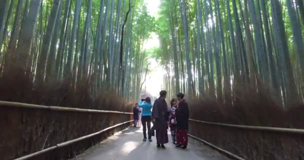 Chodnik Wewnątrz Bamboo Forest Arashiyama Kioto Japonia — Wideo stockowe