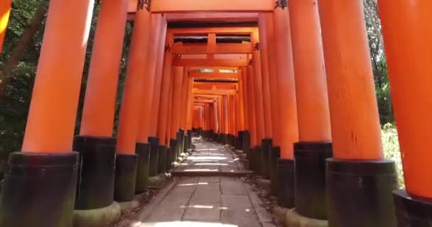 Santuario Fushimi Inari o Fushimi Inari Taisha, un santuario shintoista. A — Video Stock