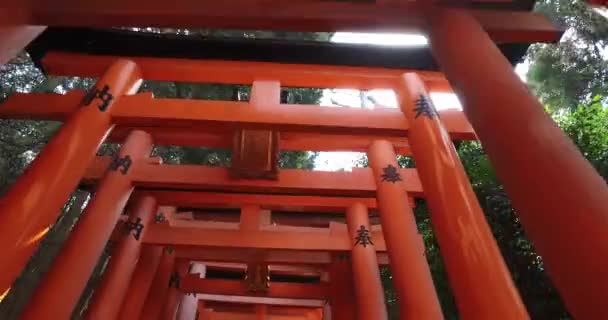 Fushimi inari Schrein oder fushimi inari taisha, ein shintoistischer Schrein. a — Stockvideo