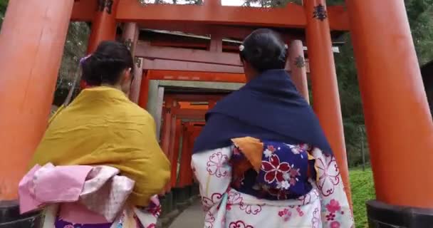 日本の有名な神社伏見稲荷神社を歩く伝統的な衣装を着たアジア人女性たち — ストック動画