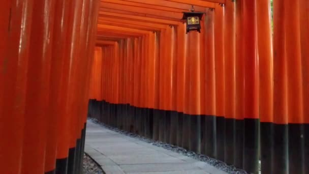 日本の有名な神社伏見稲荷神社で 何千もの鳥居が参拝 — ストック動画