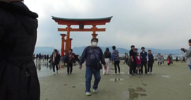 Hiroshima Japan Circa March 2017 Pov Walking Floating Torii Gate — Stockvideo