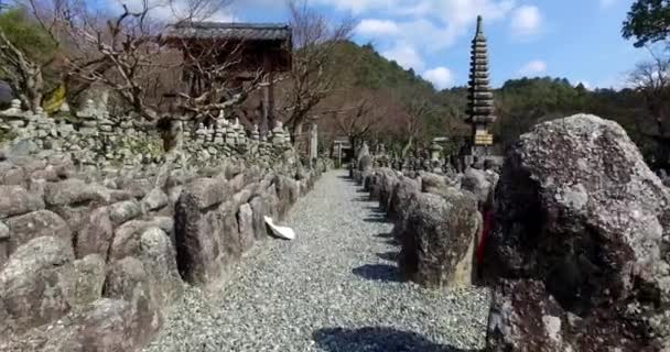 Malowniczy Widok Tombstone Arashiyama Kioto Japonia — Wideo stockowe