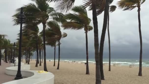 Promenade Miami Beach Florida — Stok video