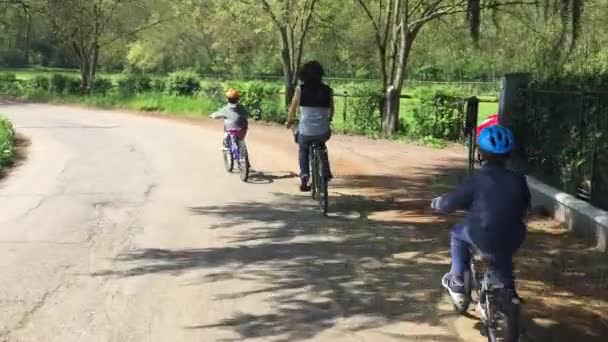 夏天公园里骑自行车的一家人 — 图库视频影像
